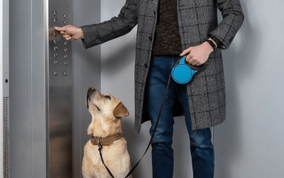 ¿Está permitido llevar perros en el ascensor?